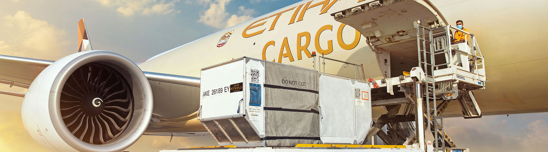 etihad cargo aircraft